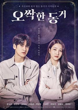 有猫的迷宫 封面图